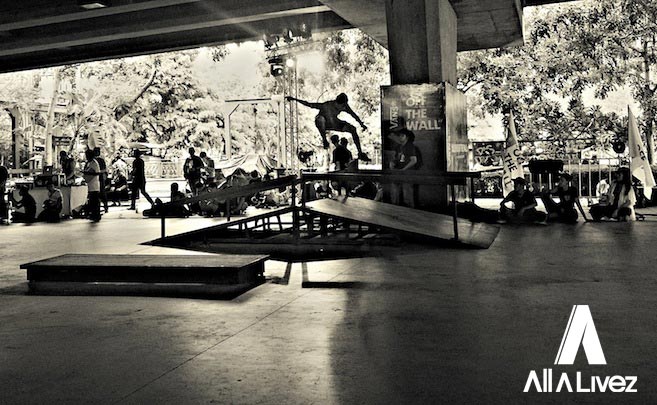 vans-go-skateboard-day-2014-allalivez-62